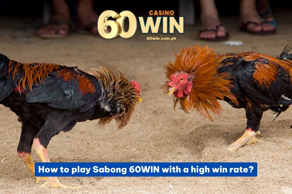 How to play Sabong 60WIN with a high win rate?