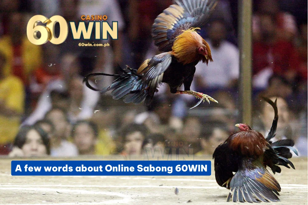 Sabong 60win playing now !